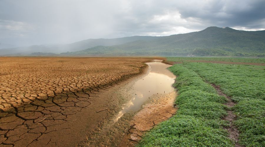 un rigagnolo d'acqua divide un campo arido da uno verde